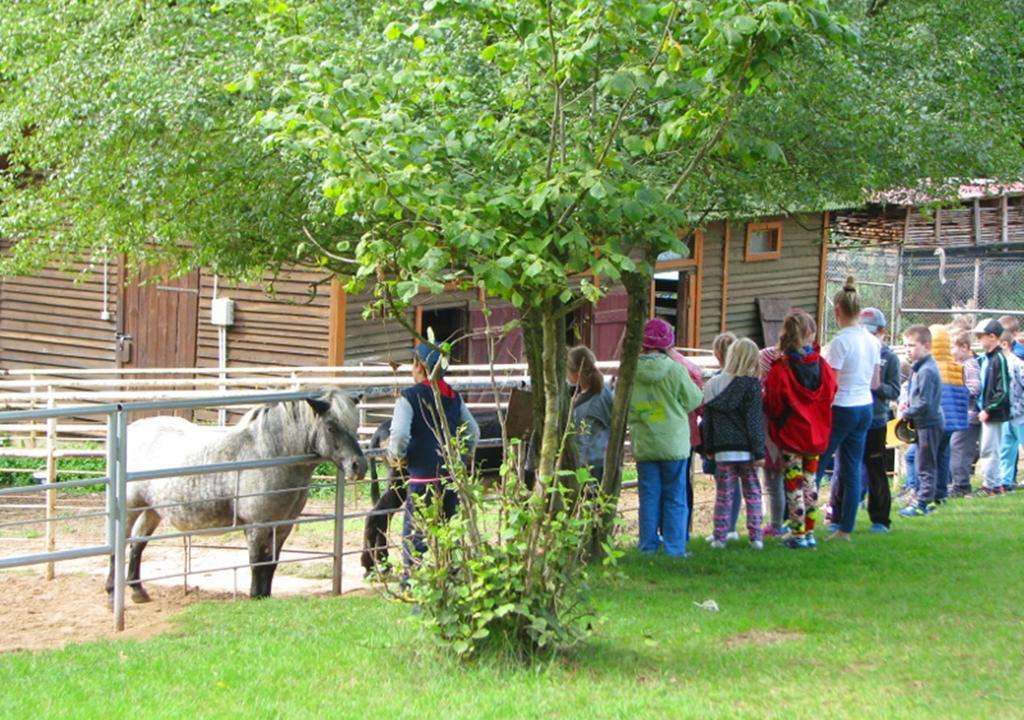 Ziolowa Dolina Olsztyn  Esterno foto