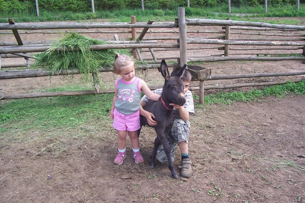 Ziolowa Dolina Olsztyn  Esterno foto
