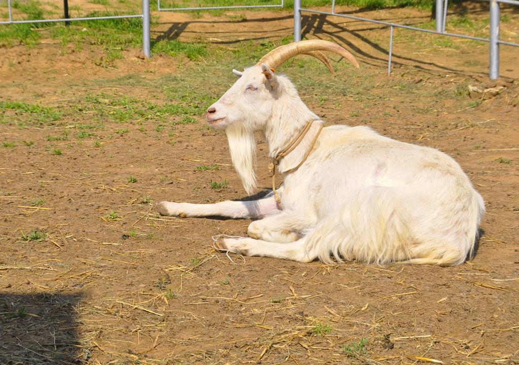 Ziolowa Dolina Olsztyn  Esterno foto